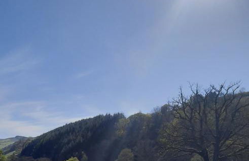 Owl Cabin - Photo 25