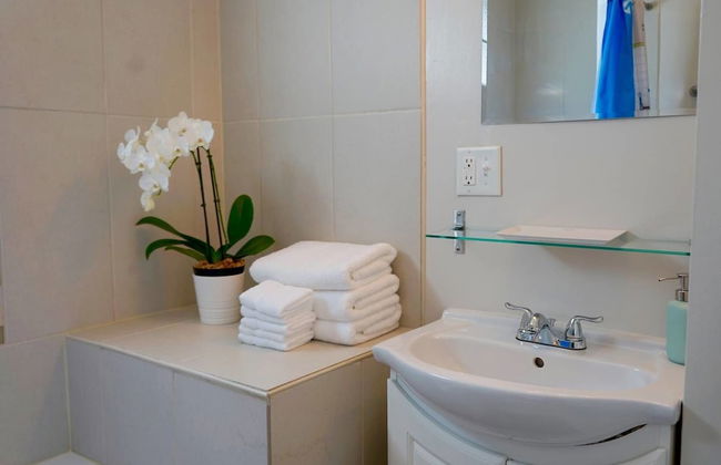 A One-way Ticket to Comforttown - Foto 17