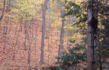 Four-Bedroom Holiday Home - Foto 53