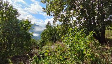 Grand Chalet Allemond Huez - Foto 2