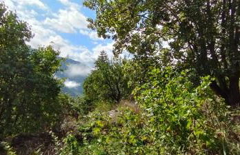 Grand Chalet Allemond Huez - Foto 2