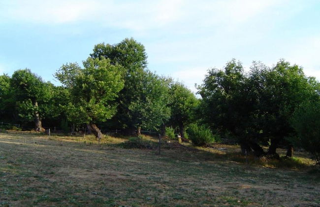 Cevennes Stone Retreat - Foto 40