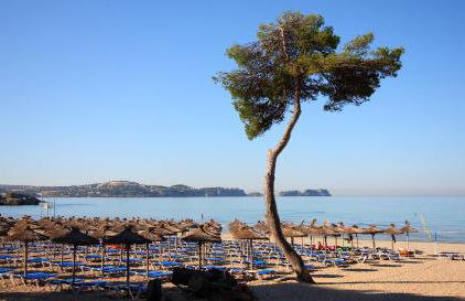 Apartamentos Petit Blau - Foto 50