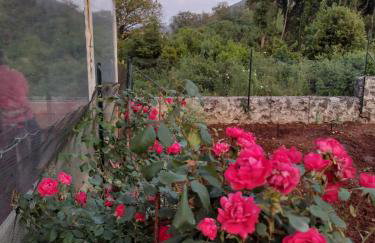 Happy Home LP - Photo 20