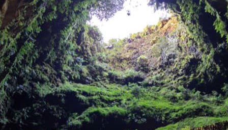 Volcanic Caves Day Trip - Photo 2