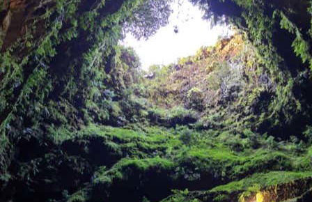 Excursion aux grottes volcaniques - Photo 1