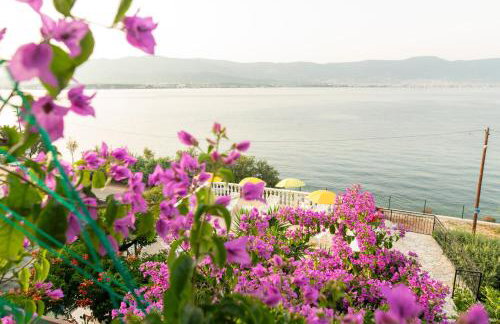 Villa Fjaba - by the sea - with the big terraces & great sea view - Foto 36