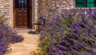 Magical Island Home - Foto 5