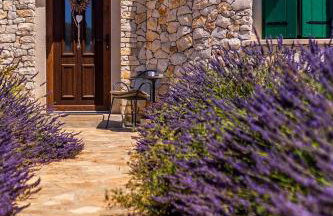 Magical Island Home - Photo 4