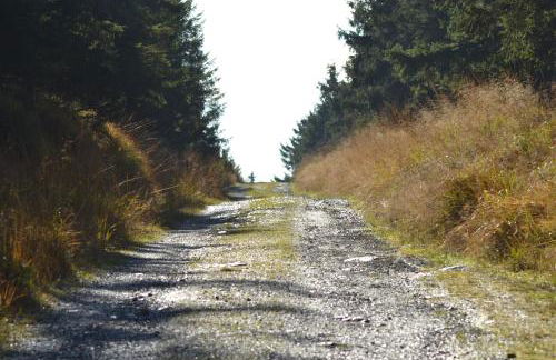 Ferienwohnung Pusteblume - Foto 25