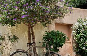 Gîtes "tout au sud de la France" - Foto 5