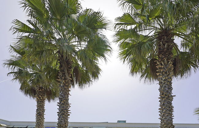 Relais du Lac VI by Wonderful Italy - Photo 21