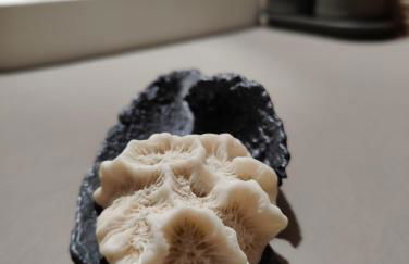 el Nido 14 - Foto 61