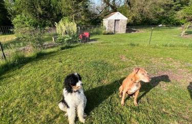 Homestead Upper Bucks - No Pet Fees - Foto 40