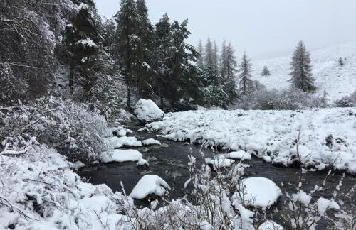 Our Log House in the woods - Photo 43