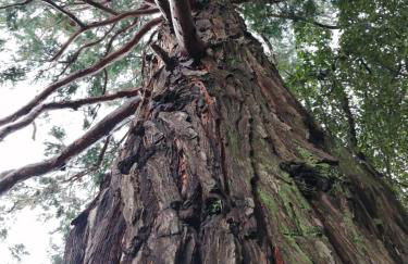 Casa della Gioia - Foto 59