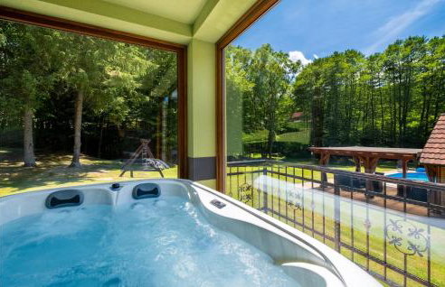 Awesome Home In Brestovac With Sauna - Foto 38