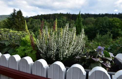 Ferienwohnung Schwalbennest - Foto 31