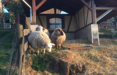 Ferienwohnung Saaletalblick - Foto 33