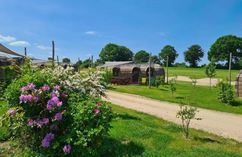Tiny Igloo Johansson - Foto 4