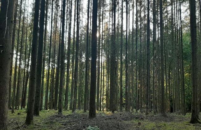Cozy, Wooden Chalet With Deck, Near Durbuy - Foto 29