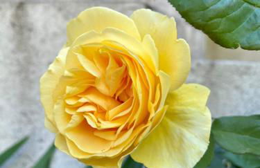 Appartement cosy - Foto 18