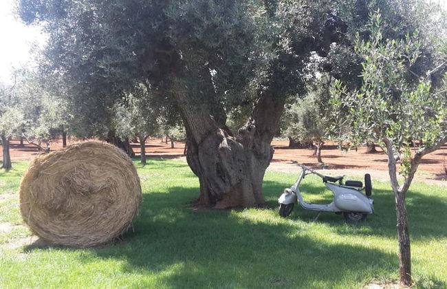 Masseria San Martino - Foto 45