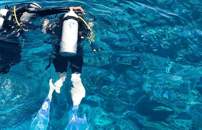 Curso de mergulho PADI Open Water - Foto 1