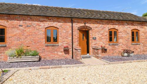 Pipistrelle - Foto 2