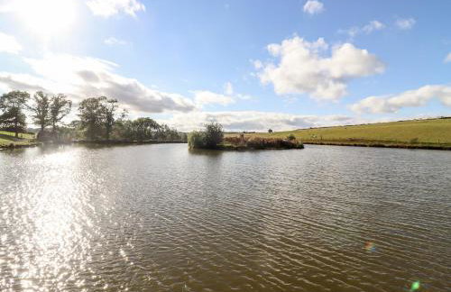 Cedar Cabin at Salford Court Farm Fishing Cabins - Foto 31