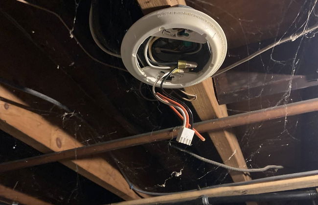 Rockmere Inn - Foto 44