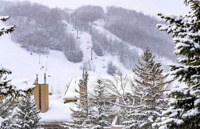 Blue Mountain - Photo 49