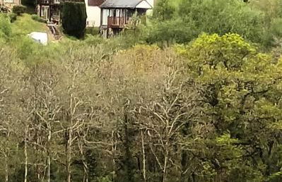 Sunningdale Lodge,St Mellion,Cornwall-FreeGolf&Spa - Photo 43