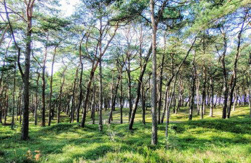 Domek Letniskowy Grażyna - Foto 52