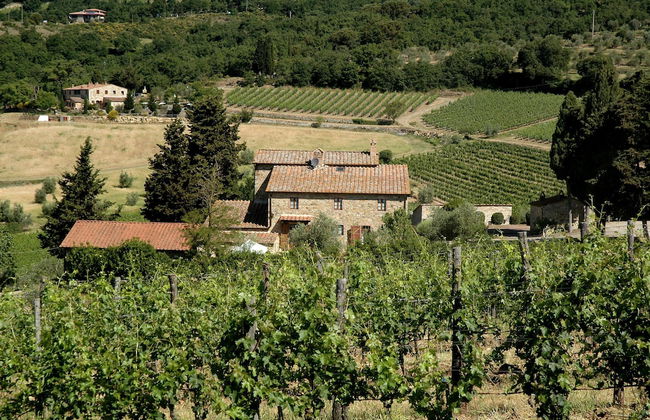 Agriturismo La Ferrozzola - Foto 58