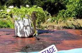 Marina's Stone Cottage - Foto 34