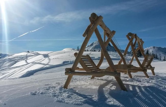 Flachauer Bergkristall - Foto 28