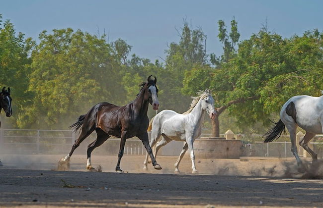 Rann Riders - Foto 38