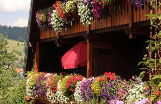 Ferienwohnung 2 Panoramablick - NEU incl 3-WeltenCard mit 140 kostenlosen Attraktionen - Foto 18