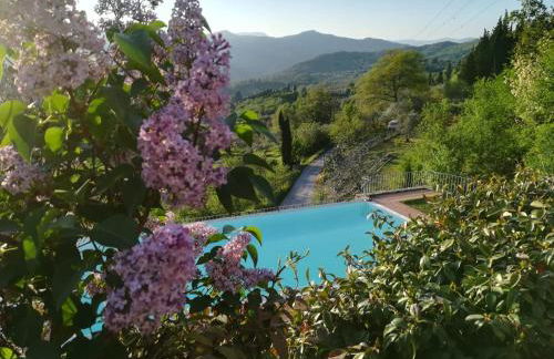 Villa Migliorati - Foto 15