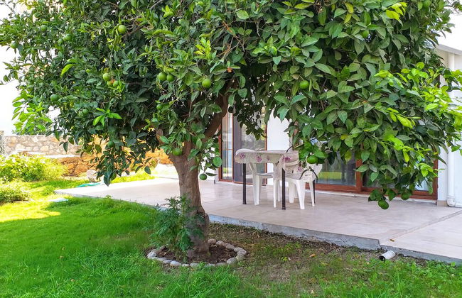 Ertem Apart - Photo 70