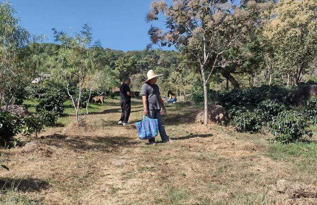 Visita a uma fazenda de café orgânico - Foto 5