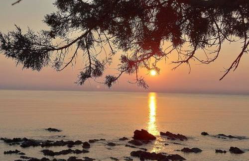 Home Green - Foto 46