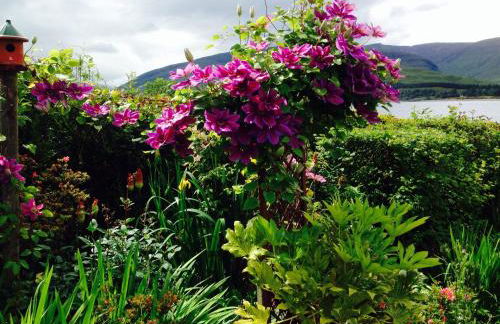 Hillview Guest House - Foto 58