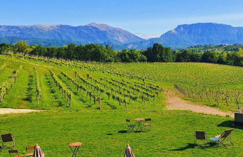 Tenuta Mani Sagge - Foto 30