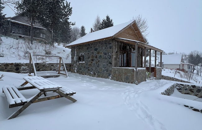 Ny Çambaşı - Foto 49