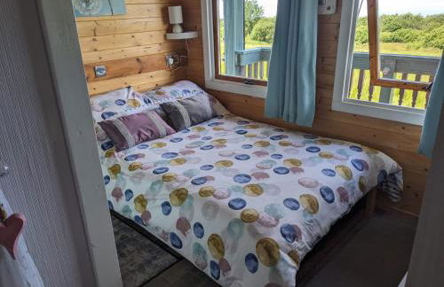 Enlli Fach cabin sleep's 2 adults and 2 children 2 dogs welcome not suitable for contract workers due to parking height restrictions - Photo 55