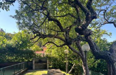 Casa vacanze alle Cinque Terre - Foto 29