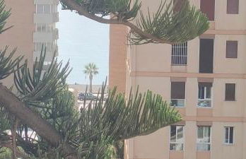 Terrazas de Torreblanca - Photo 16