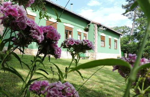 La Escuela de Premio - Foto 9